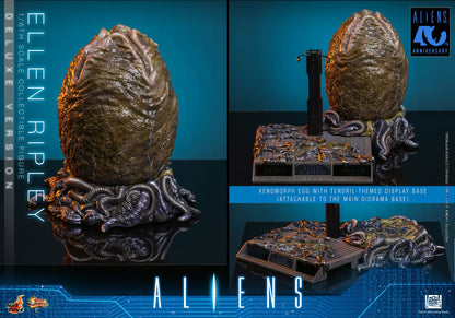 Hot Toys – MMS895 – Aliens: Ellen Ripley (Deluxe Version) 1/6th scale Collectible Figure - Preorder Now!!!
