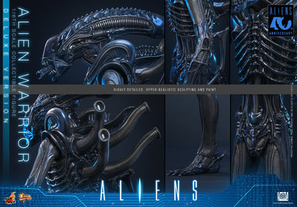 Hot Toys – MMS899 – Aliens: Alien Warrior (Deluxe Version) 1/6th scale Collectible Figure - Preorder Now