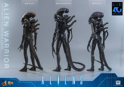Hot Toys – MMS899 – Aliens: Alien Warrior (Deluxe Version) 1/6th scale Collectible Figure - Preorder Now