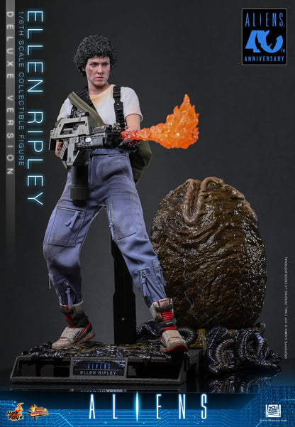Hot Toys – MMS895 – Aliens: Ellen Ripley (Deluxe Version) 1/6th scale Collectible Figure - Preorder Now!!!