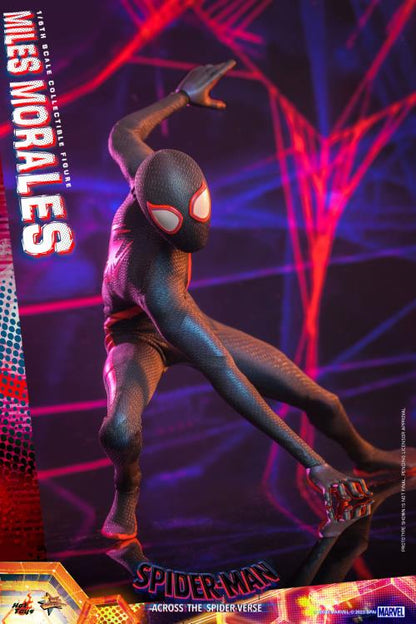 Hot Toys - MMS710 - Spider-Man: Across The Spider-Verse: Part One: Spider-Man (Miles Morales) 1/6 Scale Figure