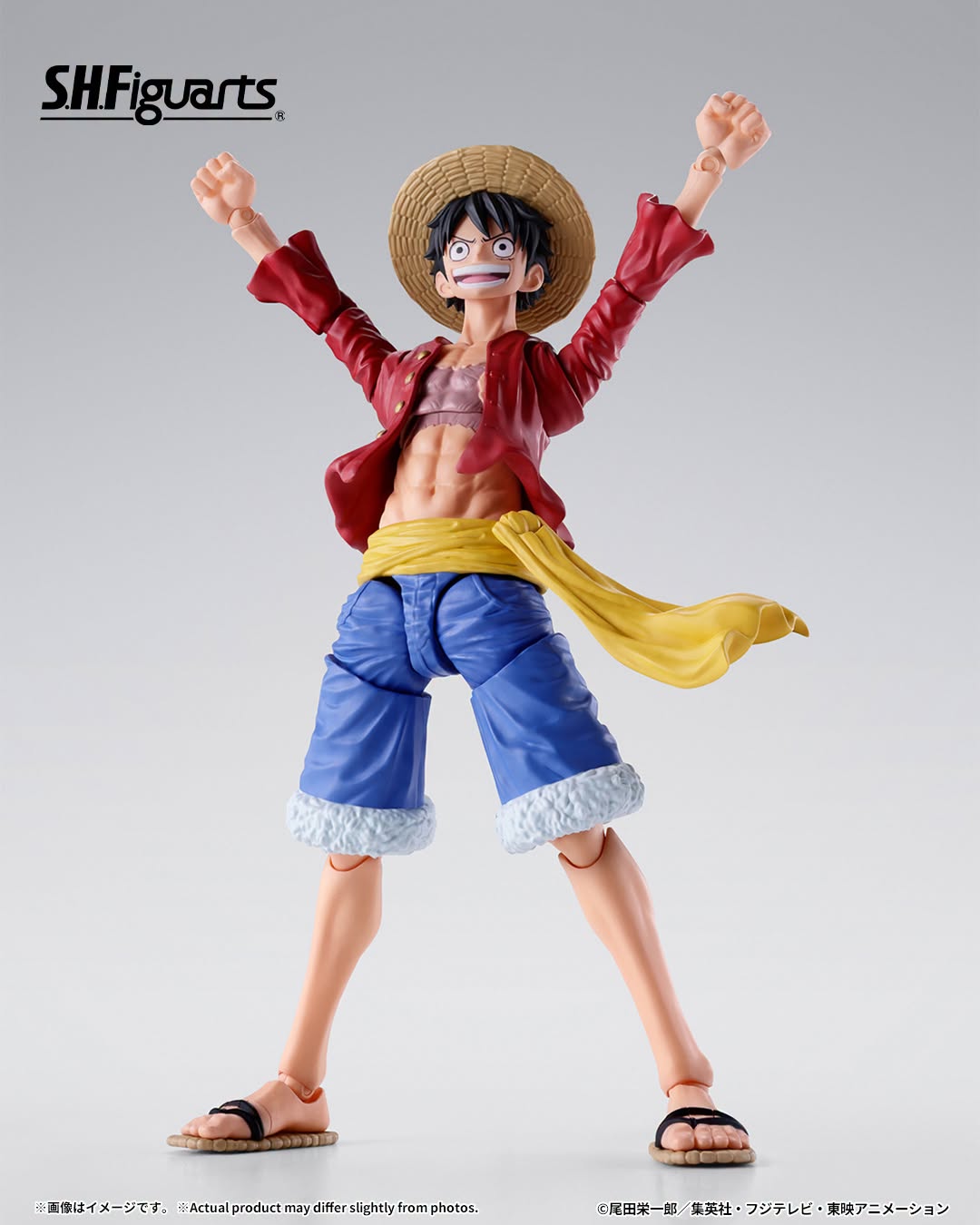 Tamashii Nations - S.H.Figuarts - One Piece: MONKEY.D.LUFFY -TWO YEARS LATER-  Preorder