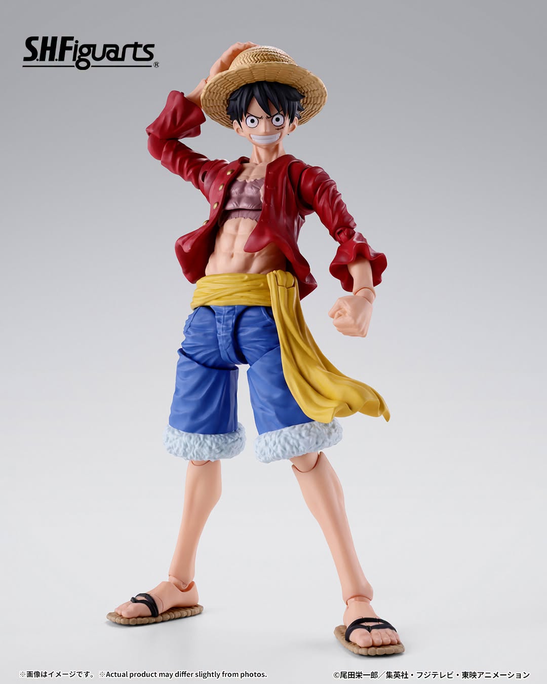 Tamashii Nations - S.H.Figuarts - One Piece: MONKEY.D.LUFFY -TWO YEARS LATER-  Preorder