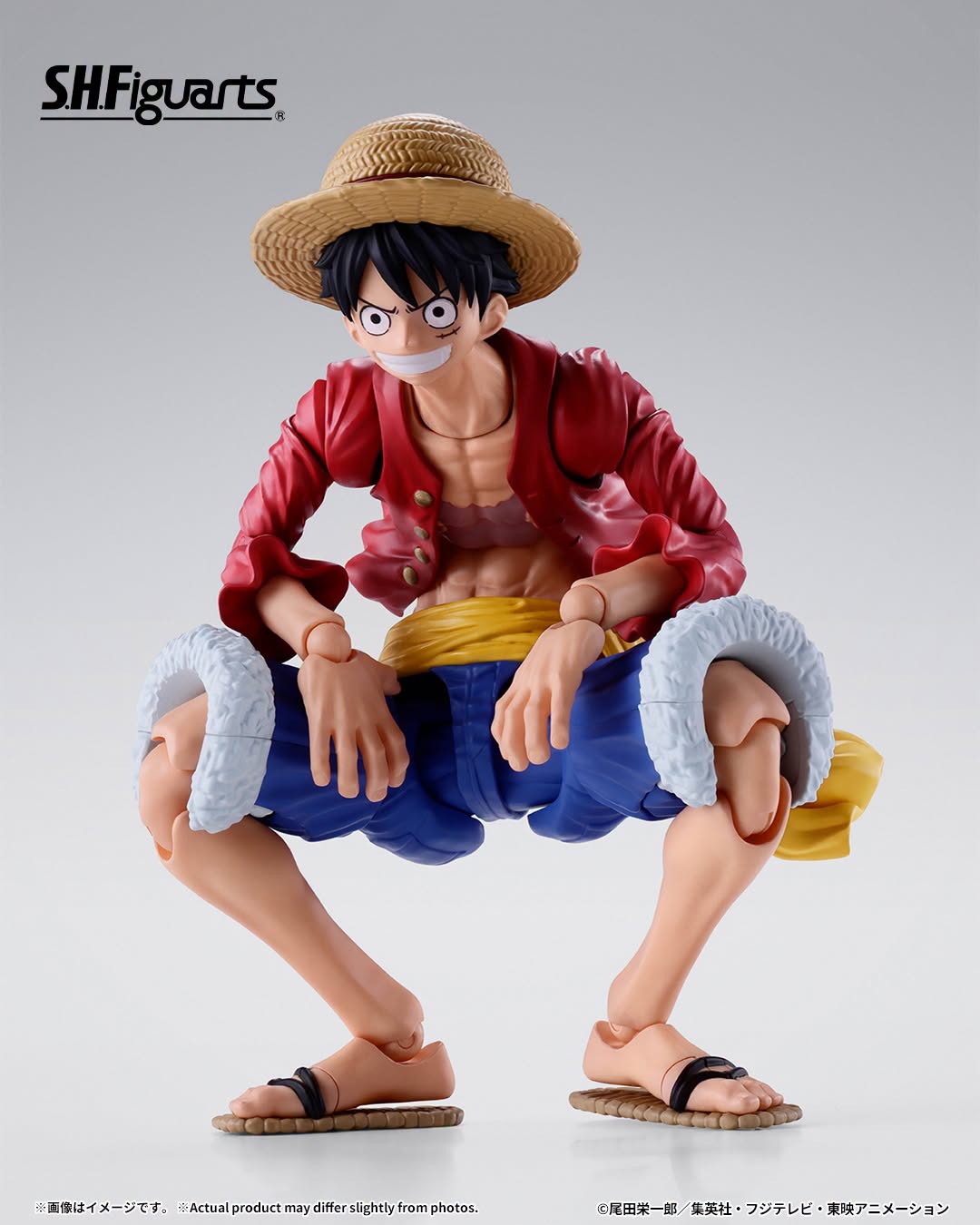 Tamashii Nations - S.H.Figuarts - One Piece: MONKEY.D.LUFFY -TWO YEARS LATER-  Preorder