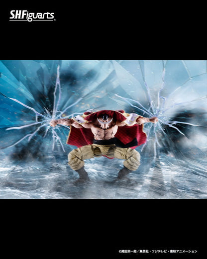 Tamashii Nations Web Exclusive - S.H.Figuarts - One Piece: EDWARD.NEWGATE -MARINEFORD- Pre-order Now