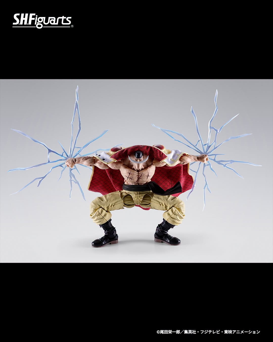 Tamashii Nations Web Exclusive - S.H.Figuarts - One Piece: EDWARD.NEWGATE -MARINEFORD- Pre-order Now