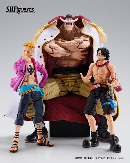 Tamashii Nations Web Exclusive - S.H.Figuarts - One Piece: EDWARD.NEWGATE -MARINEFORD- Pre-order Now