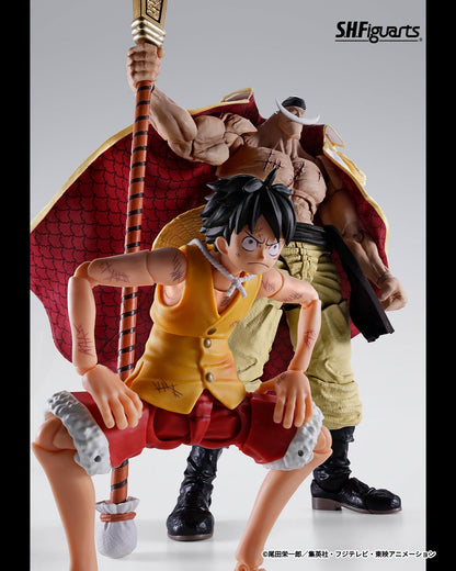 Tamashii Nations Web Exclusive - S.H.Figuarts - One Piece: EDWARD.NEWGATE -MARINEFORD- Pre-order Now