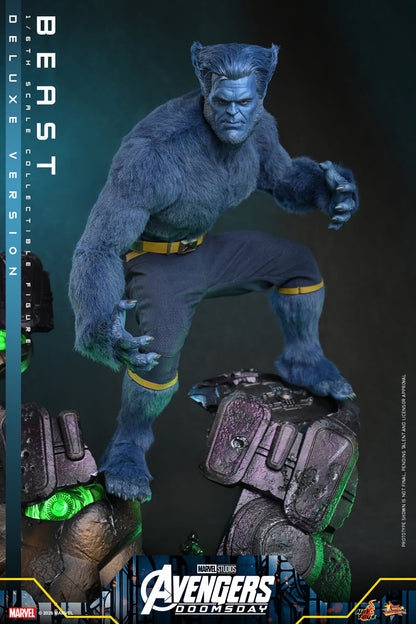 Hot Toys – MMS921 – Avengers: Doomsday: Beast (Deluxe Version) 1/6th scale Collectible Figure - Preorder Now