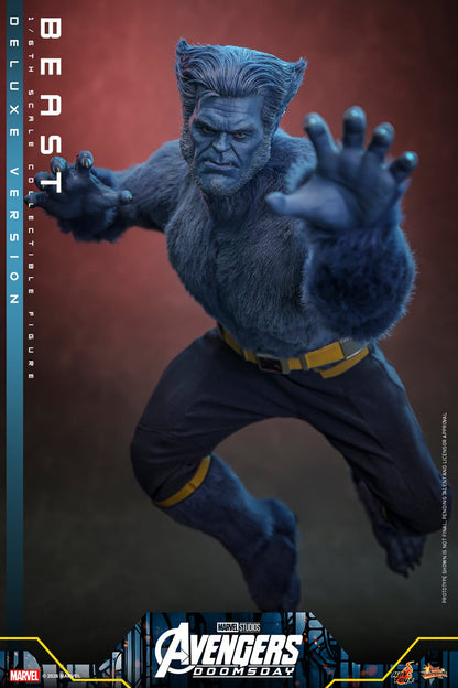 Hot Toys – MMS921 – Avengers: Doomsday: Beast (Deluxe Version) 1/6th scale Collectible Figure - Preorder Now