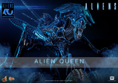Hot Toys – MMS903 – Aliens: Alien Queen 1/6th scale Collectible Figure - Preorder