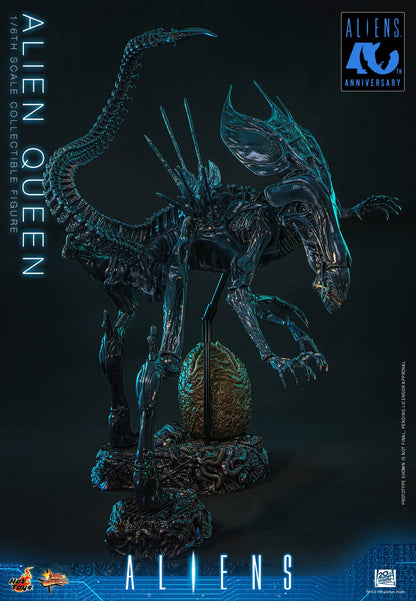 Hot Toys – MMS903 – Aliens: Alien Queen 1/6th scale Collectible Figure - Preorder