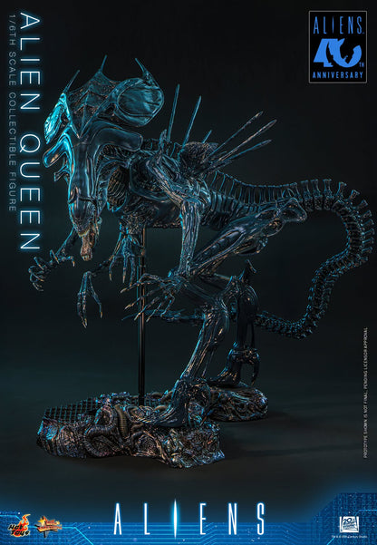 Hot Toys – MMS903 – Aliens: Alien Queen 1/6th scale Collectible Figure - Preorder