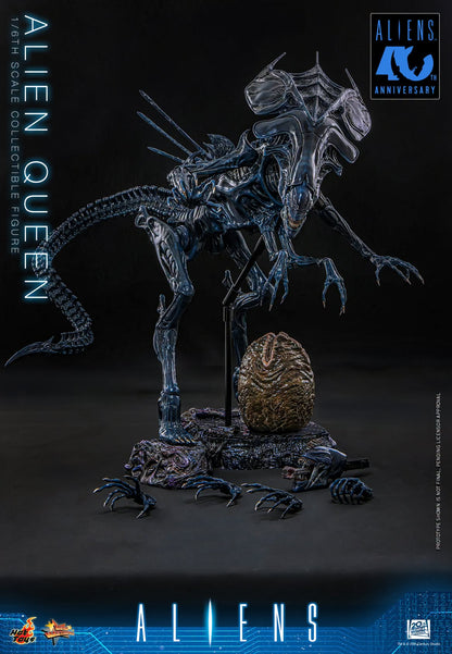 Hot Toys – MMS903 – Aliens: Alien Queen 1/6th scale Collectible Figure - Preorder