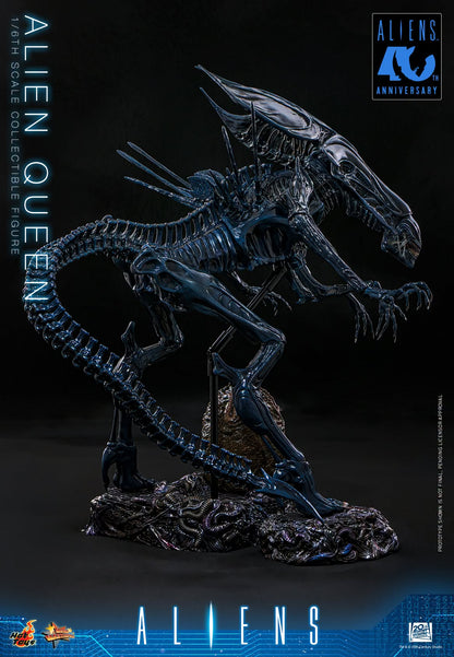 Hot Toys – MMS903 – Aliens: Alien Queen 1/6th scale Collectible Figure - Preorder