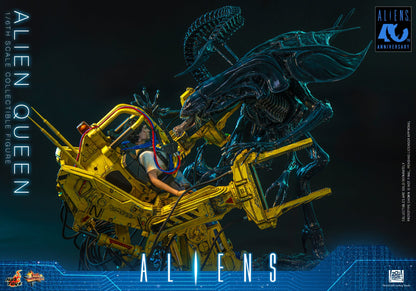 Hot Toys – MMS903 – Aliens: Alien Queen 1/6th scale Collectible Figure - Preorder