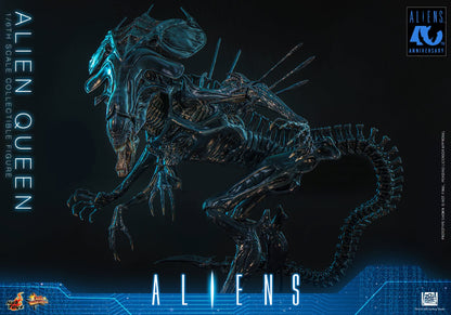 Hot Toys – MMS903 – Aliens: Alien Queen 1/6th scale Collectible Figure - Preorder