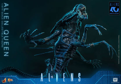 Hot Toys – MMS903 – Aliens: Alien Queen 1/6th scale Collectible Figure - Preorder
