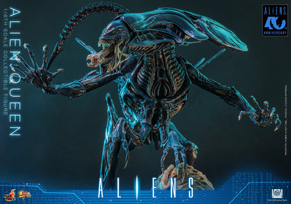 Hot Toys – MMS903 – Aliens: Alien Queen 1/6th scale Collectible Figure - Preorder