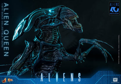Hot Toys – MMS903 – Aliens: Alien Queen 1/6th scale Collectible Figure - Preorder