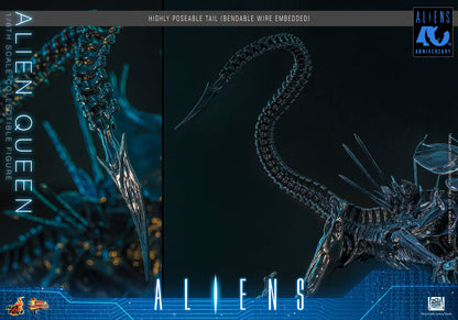 Hot Toys – MMS903 – Aliens: Alien Queen 1/6th scale Collectible Figure - Preorder