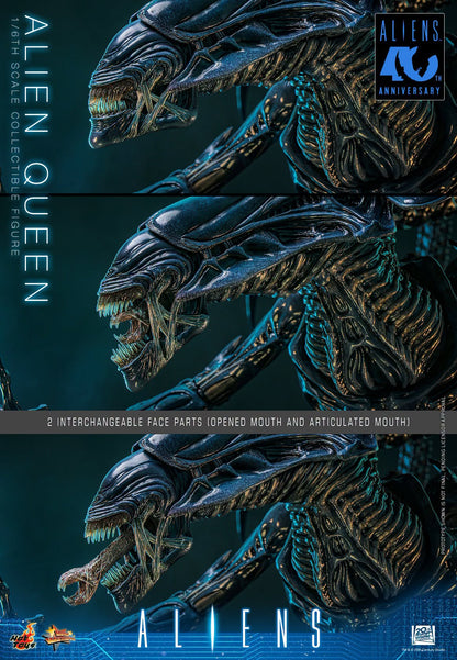 Hot Toys – MMS903 – Aliens: Alien Queen 1/6th scale Collectible Figure - Preorder