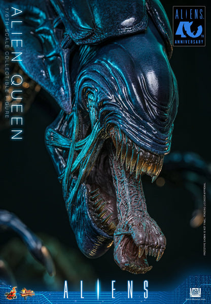 Hot Toys – MMS903 – Aliens: Alien Queen 1/6th scale Collectible Figure - Preorder