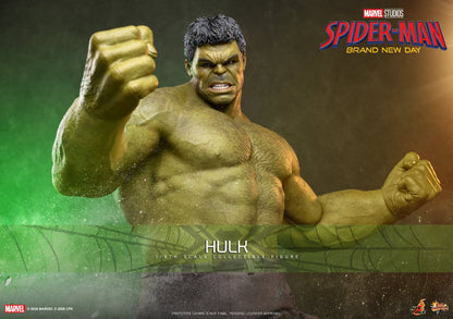 Hot Toys – MMS905 – Spider-man: Brand New Day: Hulk 1/6th scale Collectible Figure - Preorder