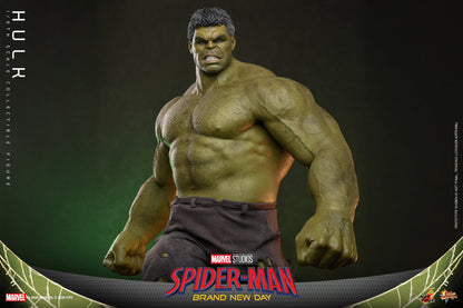 Hot Toys – MMS905 – Spider-man: Brand New Day: Hulk 1/6th scale Collectible Figure - Preorder
