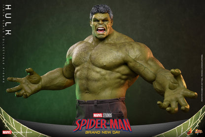 Hot Toys – MMS905 – Spider-man: Brand New Day: Hulk 1/6th scale Collectible Figure - Preorder