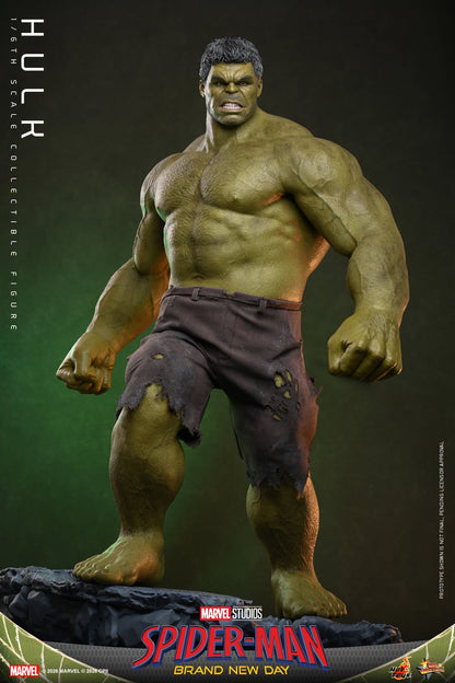 Hot Toys – MMS905 – Spider-man: Brand New Day: Hulk 1/6th scale Collectible Figure - Preorder
