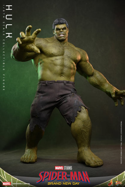 Hot Toys – MMS905 – Spider-man: Brand New Day: Hulk 1/6th scale Collectible Figure - Preorder
