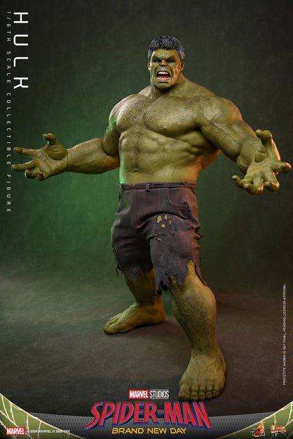 Hot Toys – MMS905 – Spider-man: Brand New Day: Hulk 1/6th scale Collectible Figure - Preorder