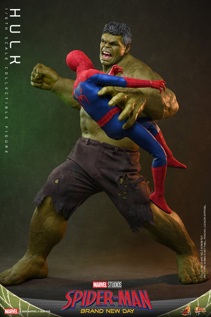 Hot Toys – MMS905 – Spider-man: Brand New Day: Hulk 1/6th scale Collectible Figure - Preorder