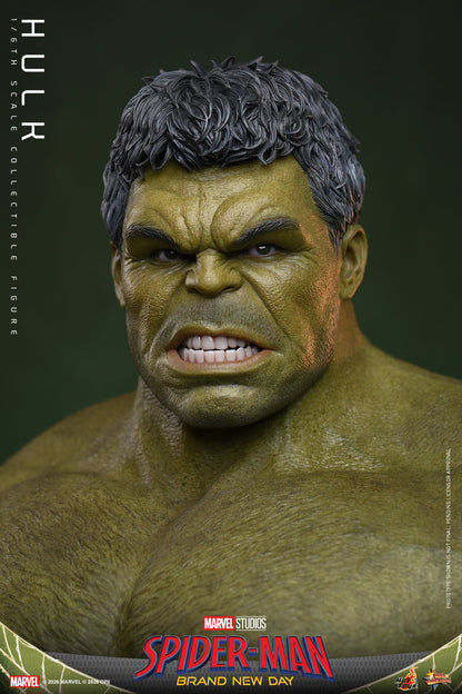 Hot Toys – MMS905 – Spider-man: Brand New Day: Hulk 1/6th scale Collectible Figure - Preorder