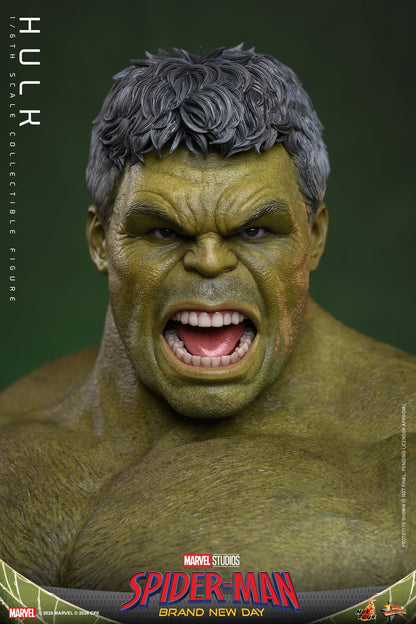 Hot Toys – MMS905 – Spider-man: Brand New Day: Hulk 1/6th scale Collectible Figure - Preorder