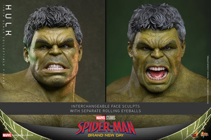 Hot Toys – MMS905 – Spider-man: Brand New Day: Hulk 1/6th scale Collectible Figure - Preorder