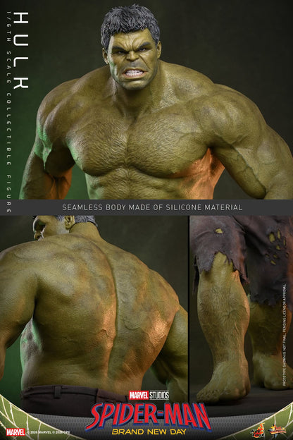 Hot Toys – MMS905 – Spider-man: Brand New Day: Hulk 1/6th scale Collectible Figure - Preorder
