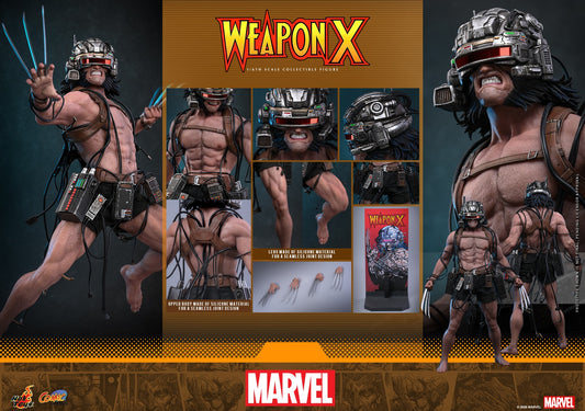 Hot Toys – CMS034 – Marvel Comics: Weapon X 1/6th scale Collectible Figure Pre-order Now!!!