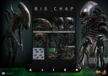 Hot Toys – MMS826 – Alien: Big Chap 1/6th scale Collectible Figure