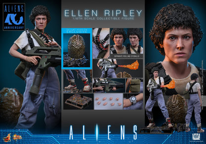 Hot Toys – MMS895 – Aliens: Ellen Ripley (Deluxe Version) 1/6th scale Collectible Figure - Preorder Now!!!
