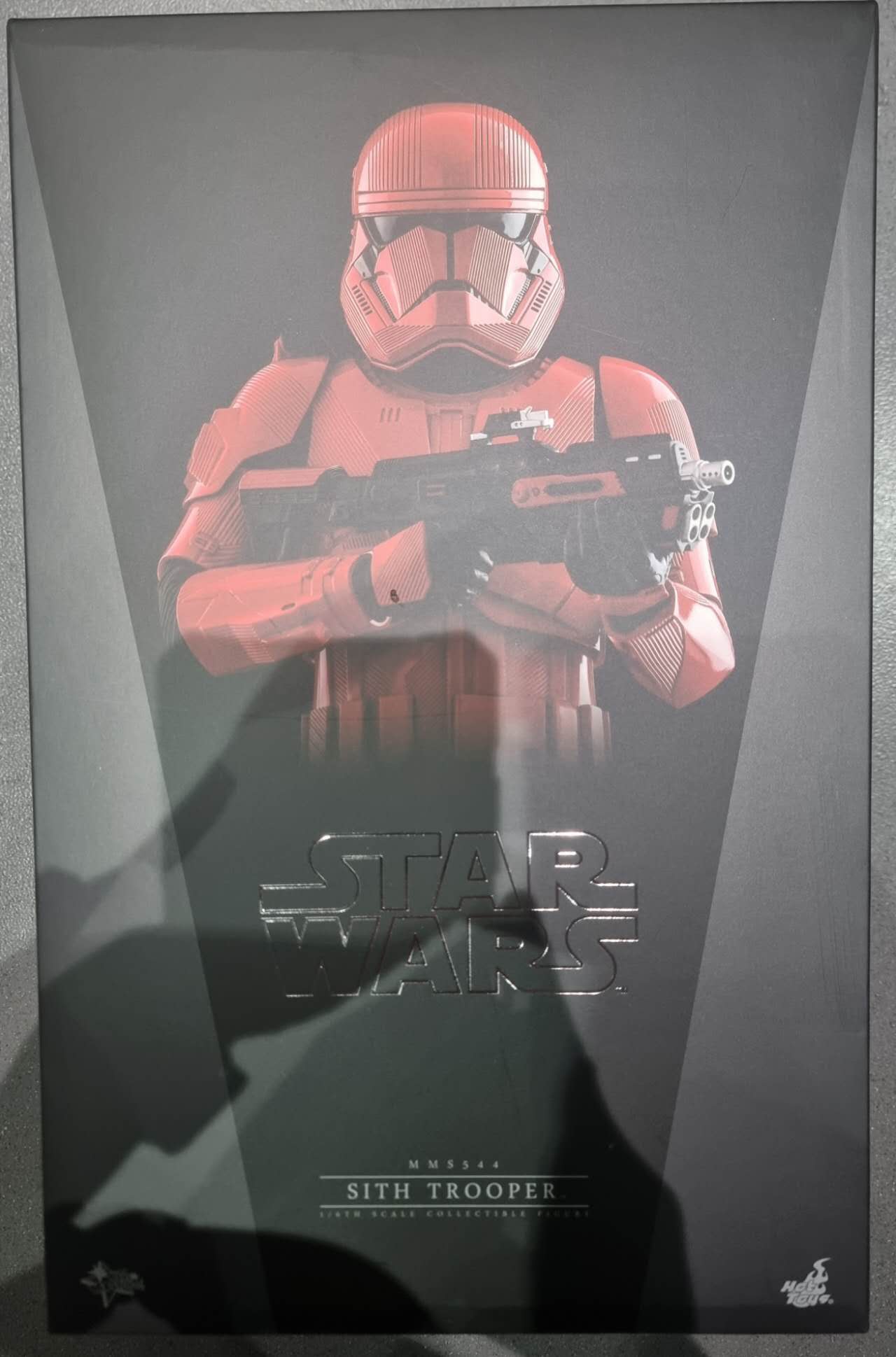 PRE-LOVED - Hot Toys - MMS544 - Star Wars : The Rise of Skywalker – Sith Trooper