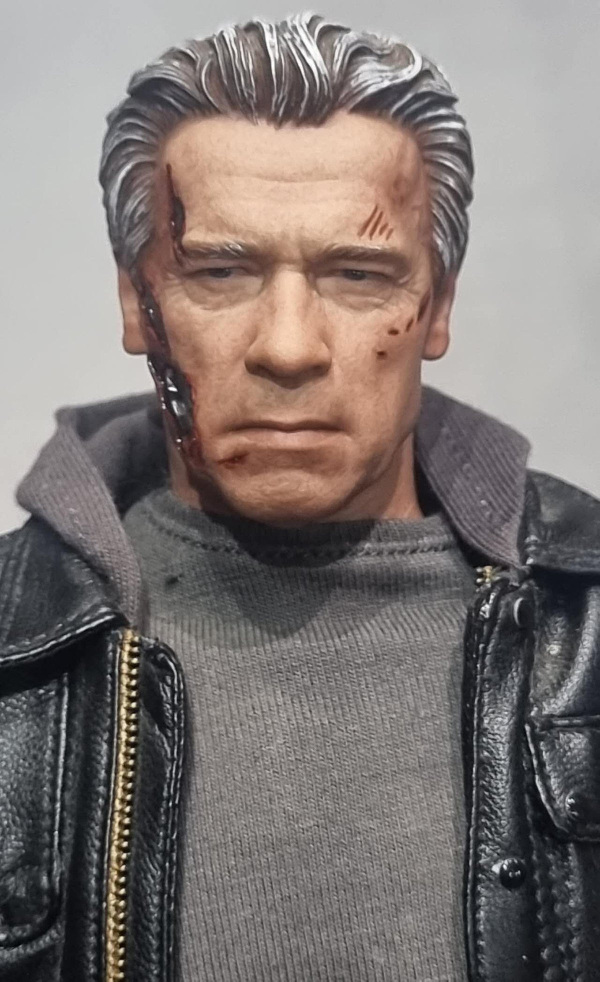 PRE-LOVED - Hot Toys - MMS307 - Terminator Genisys: T-800 Guardian