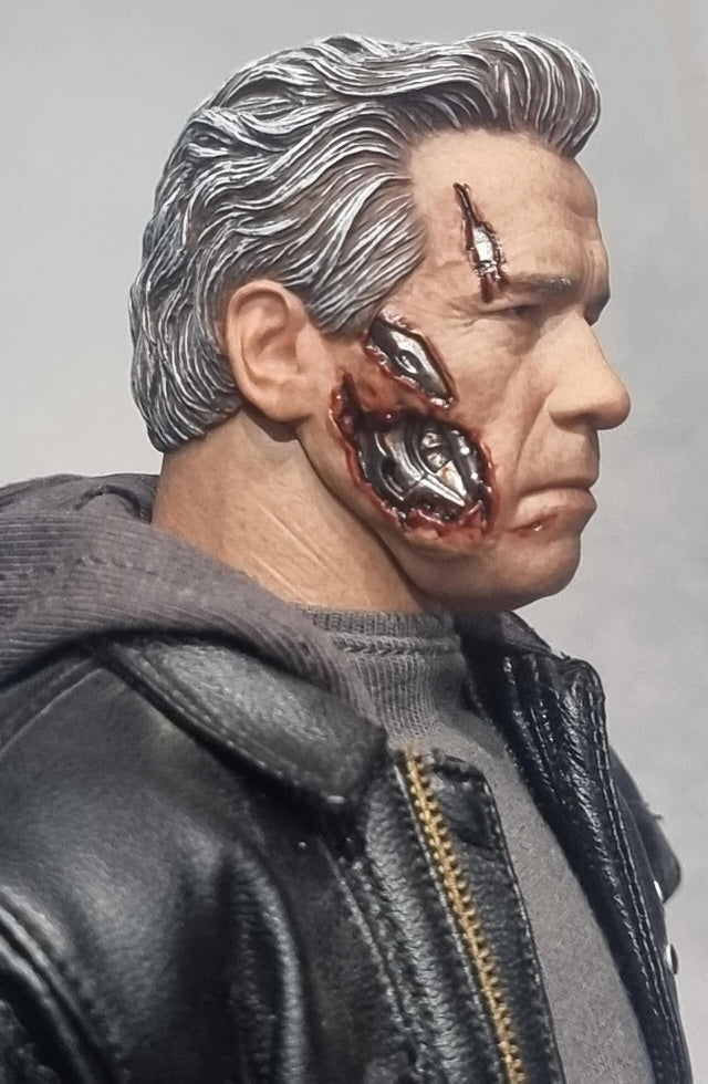 PRE-LOVED - Hot Toys - MMS307 - Terminator Genisys: T-800 Guardian