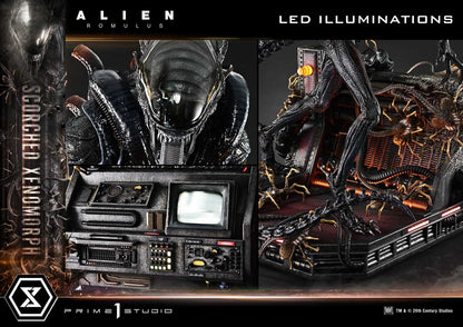 Prime 1 Studio - Alien: Romulus - Scorched Xenomorph (Deluxe Version)