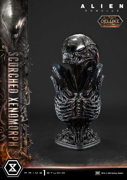Prime 1 Studio - Alien: Romulus - Scorched Xenomorph (Deluxe Version)