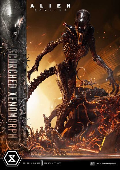 Prime 1 Studio - Alien: Romulus - Scorched Xenomorph (Deluxe Version)