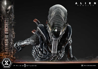 Prime 1 Studio - Alien: Romulus - Scorched Xenomorph (Deluxe Version)