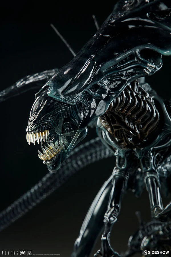 PRE-LOVED - Sideshow Collectibles - Alien Queen Maquette