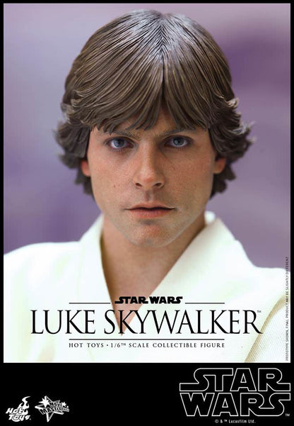 PRE-LOVED - Hot Toys - MMS297 - Star Wars IV: Luke Skywalker